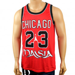 Camiseta Chicago